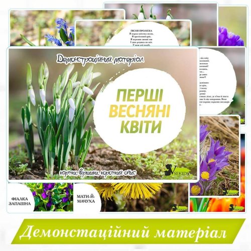 Демонстраційний матеріал «Перші весняні квіти»