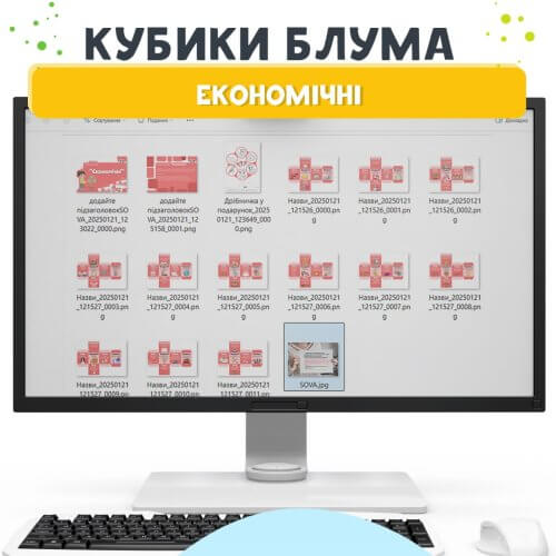 Кубики Блума Економічні 🟡вихователю від Sova