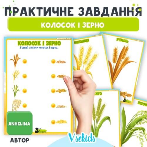 Завдання для дітей «Колосок і зерно» (Хлібні злаки) – робочий аркуш для друку